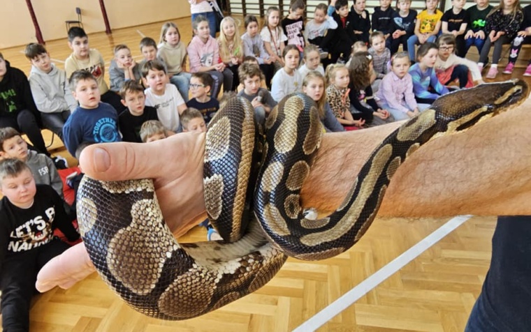 Dziś w szkole odwiedziły nas….. węże!